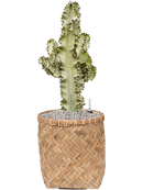 Pot bohemian cylinder marron