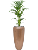 Pot opus partner d'or