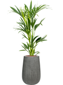 Pot ridged darcy grise