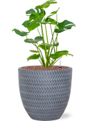 Pot angle couple grise