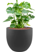 Pot stretto couple anthracite