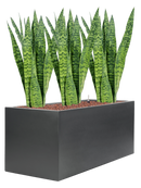 Pot stretto rectangle anthracite