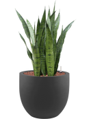 Pot stretto couple anthracite