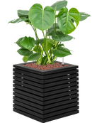 Pot marrone cube noire