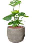 Pot cement couple grise