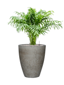 Pot cement partner grise