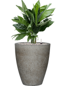 Pot cement partner grise