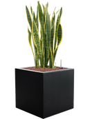 Pot argento cube noire