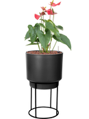 Pot b.for sur pieds noire