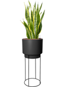 Pot b.for sur pieds noire