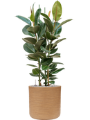 Pot dune cylinder marron