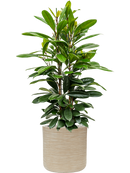 Pot dune cylinder beige