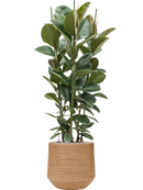 Pot dune darcy marron