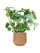 Pot dune darcy marron