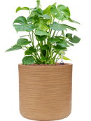 Pot dune cylinder marron