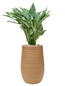 Pot dune partner marron