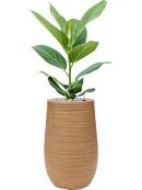 Pot dune partner marron