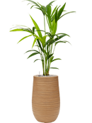 Pot dune partner marron