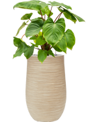 Pot dune partner beige