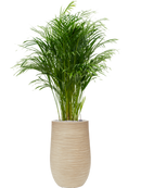 Pot dune partner beige