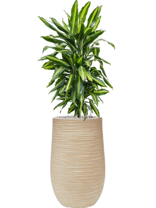 Pot dune partner beige