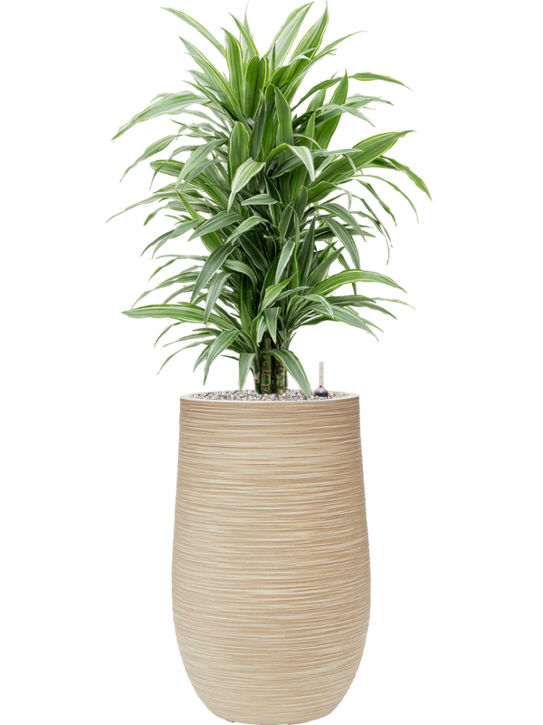 Pot dune partner beige