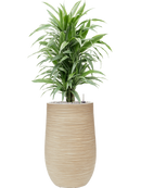 Pot dune partner beige