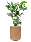 Pot dune darcy marron