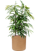 Pot dune cylinder marron