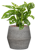 Pot cement couple grise