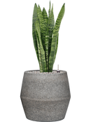 Pot cement couple grise