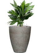 Pot cement partner grise