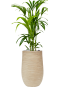 Pot dune partner beige