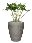 Pot cement partner grise