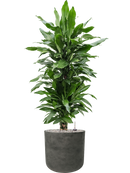 Pot rough cylinder noire