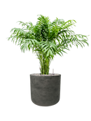 Pot rough cylinder noire