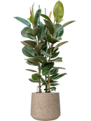 Pot rough darcy grise