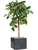 Pot raindrop cube anthracite