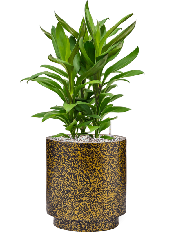 Pot lux terrazzo indoor cylinder d'or