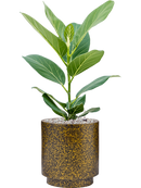Pot lux terrazzo indoor cylinder d'or