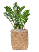 Pot bohemian cylinder marron