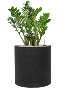 Pot rough cylinder noire