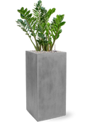 Pot natural square grise