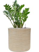 Pot dune cylinder beige