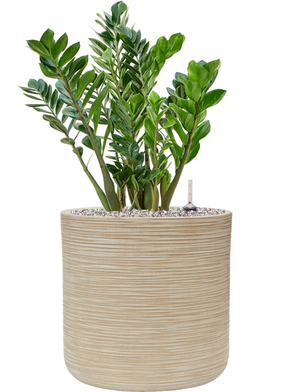 Pot dune cylinder beige