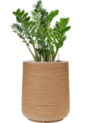 Pot dune darcy marron