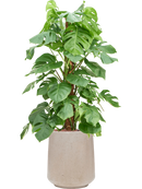 Pot raindrop darcy beige