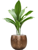 Pot marly couple d'or