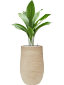 Pot dune partner beige