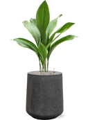 Pot raindrop darcy anthracite